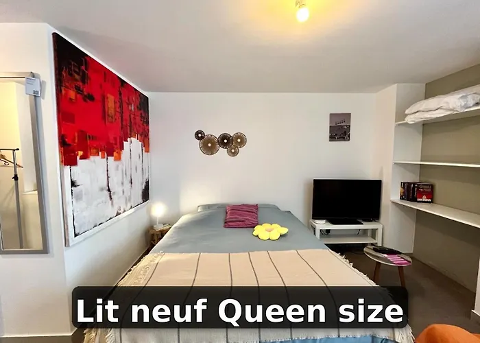 Le Ptit Chez Soi By Lpnl Confort Rdc, Lit Queen, Arrivee Autonome Rives (Isere)