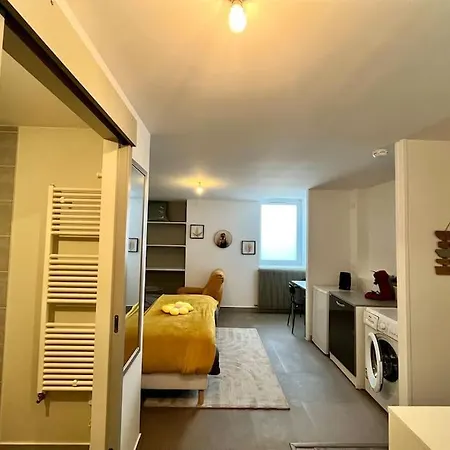 Le Ptit Chez Soi By Lpnl Confort Rdc, Lit Queen, Arrivee Autonome Apartment Rives (Isere)