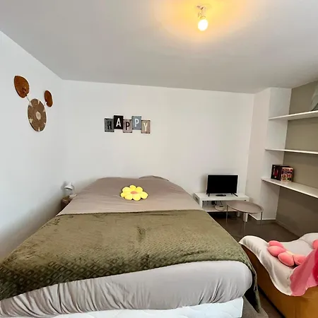 Le Ptit Chez Soi By Lpnl Apartment Rives (Isere)